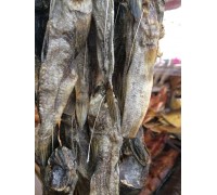 Кальмар копчений Кальмар копчений