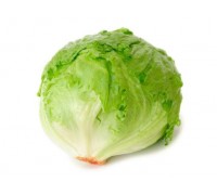 Салат Айсберг 1 шт Салат Айсберг 1 шт